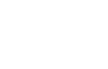 APCE - LOGO